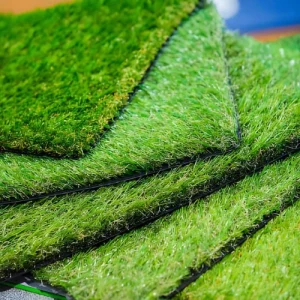 চাইনিজ কার্পেট ঘাস - Chinis carpet grass